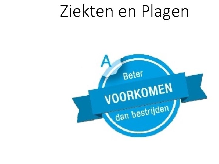 Ziekten en Plagen 