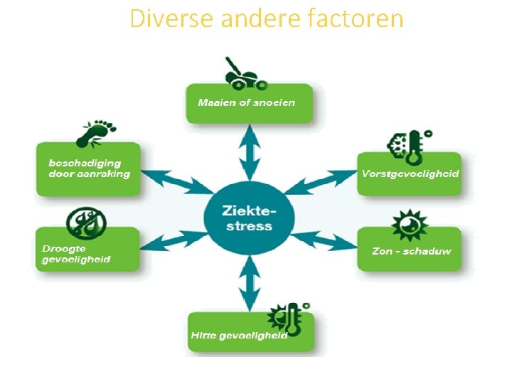 Diverse andere factoren 