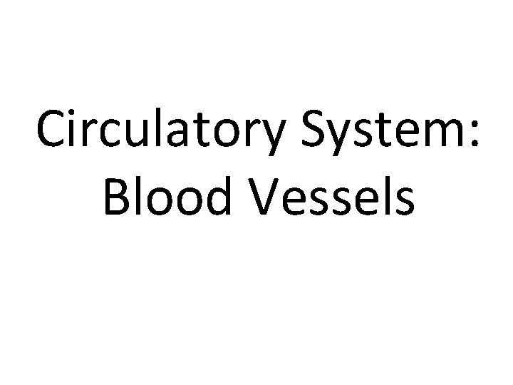 Circulatory System: Blood Vessels 