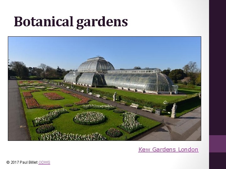 Botanical gardens Kew Gardens London © 2017 Paul Billiet ODWS 