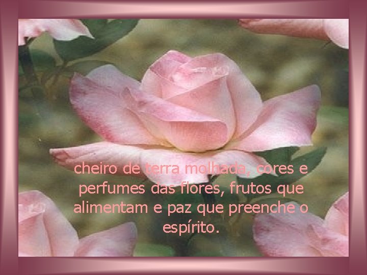 cheiro de terra molhada, cores e perfumes das flores, frutos que alimentam e paz