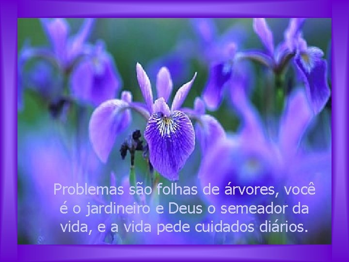 Problemas são folhas de árvores, você é o jardineiro e Deus o semeador da