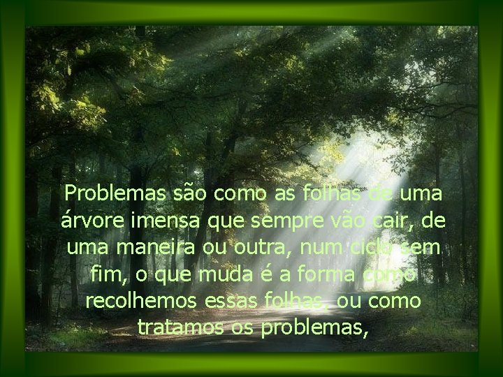 Problemas são como as folhas de uma árvore imensa que sempre vão cair, de