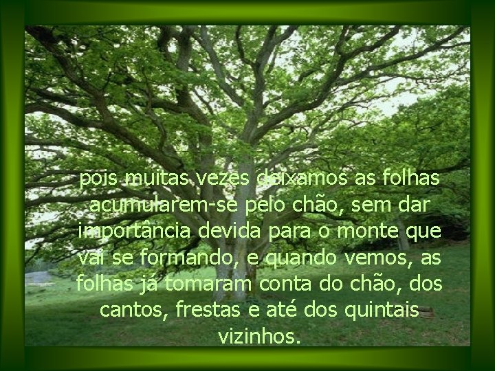 pois muitas vezes deixamos as folhas acumularem-se pelo chão, sem dar importância devida para