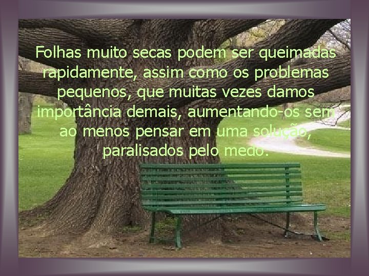 Folhas muito secas podem ser queimadas rapidamente, assim como os problemas pequenos, que muitas