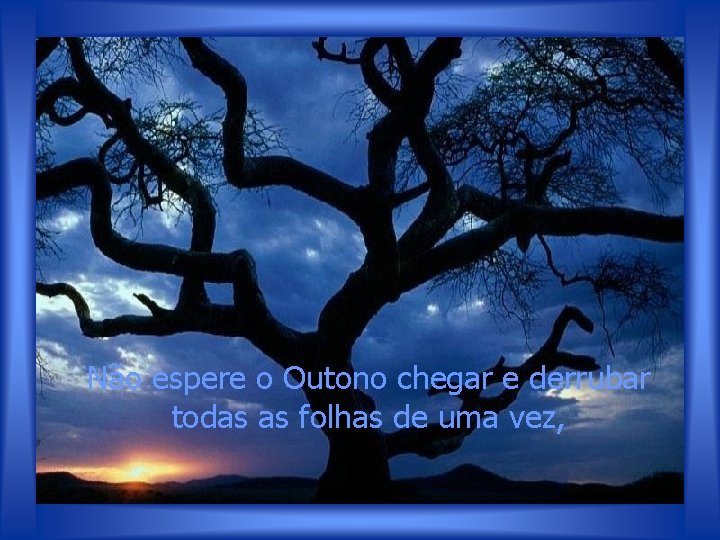 Não espere o Outono chegar e derrubar todas as folhas de uma vez, 
