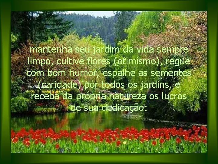 mantenha seu jardim da vida sempre limpo, cultive flores (otimismo), regue com bom humor,