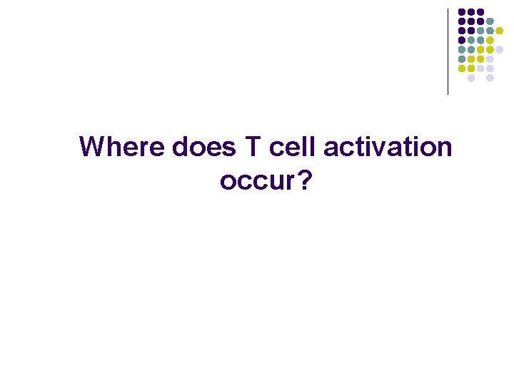 Where does T cell activation occur? 