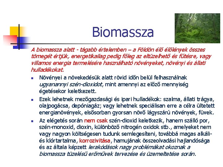 Biomassza A biomassza alatt tágabb értelemben – a Földön élőlények összes tömegét értjük, energetikailag