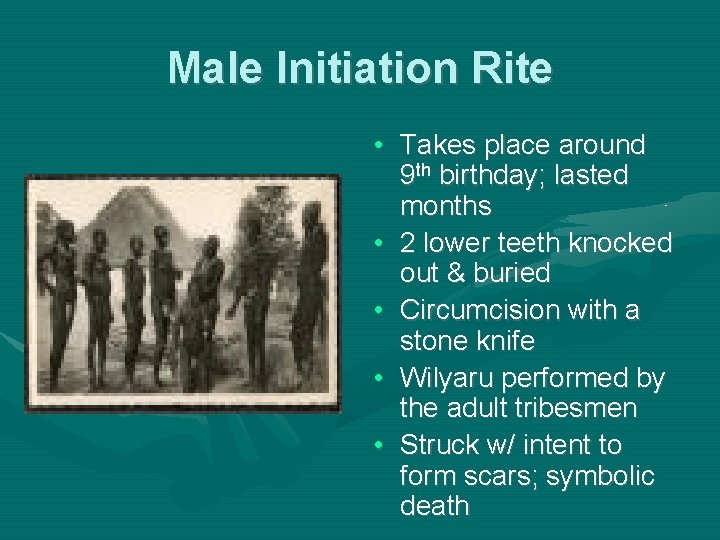 Male Initiation Rite • Takes place around 9 th birthday; lasted months • 2