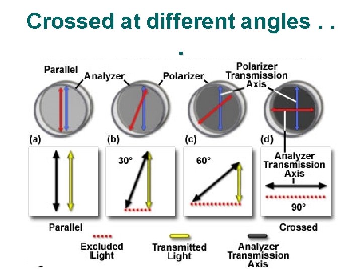 Crossed at different angles. . . 