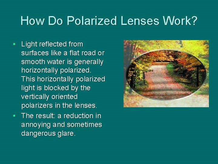 How Do Polarized Lenses Work? • Light reflected from surfaces like a flat road