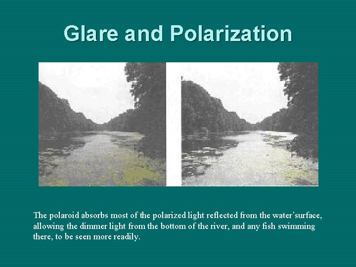 Glare and Polarization The polaroid absorbs most of the polarized light reflected from the