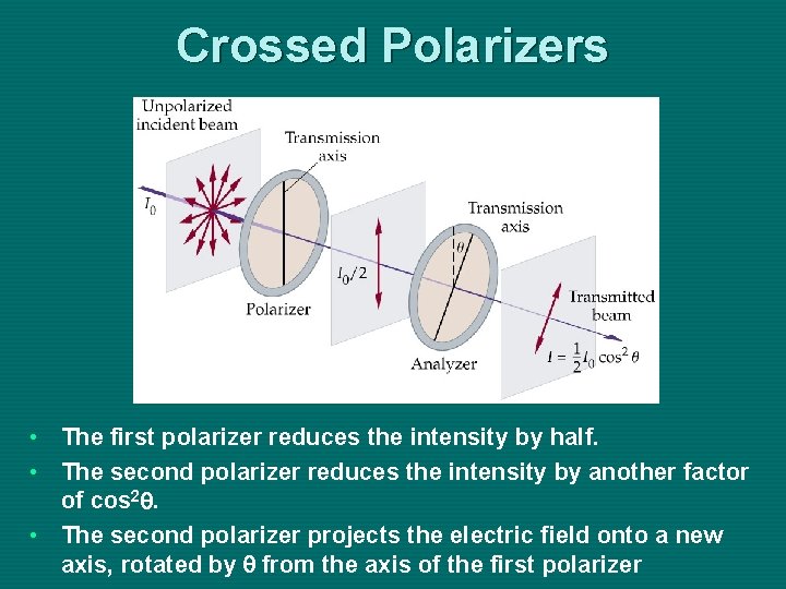 Crossed Polarizers • The first polarizer reduces the intensity by half. • The second