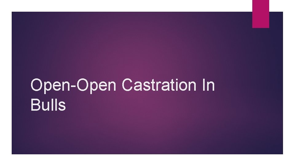 Open-Open Castration In Bulls 