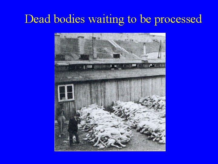 Dead bodies waiting to be processed 