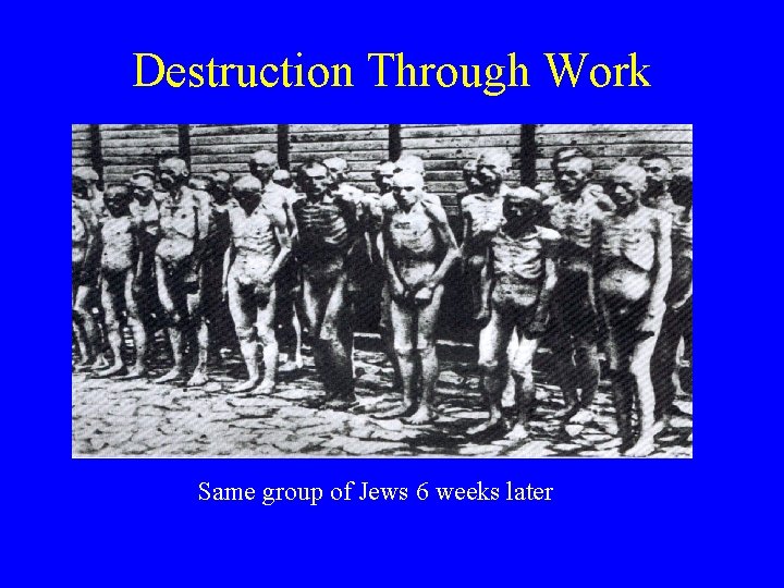Destruction Through Work Same group of Jews 6 weeks later 