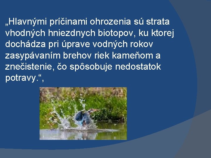 „Hlavnými príčinami ohrozenia sú strata vhodných hniezdnych biotopov, ku ktorej dochádza pri úprave vodných