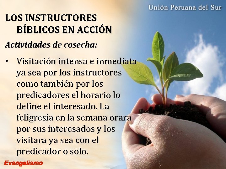 LOS INSTRUCTORES BÍBLICOS EN ACCIÓN Actividades de cosecha: • Visitación intensa e inmediata ya