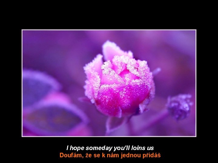 I hope someday you’ll loins us Doufám, že se k nám jednou přidáš 