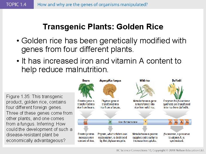BC Science Connections 10 Unit 1 DNA is