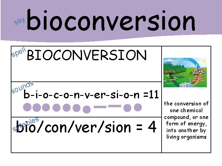bioconversion say BIOCONVERSION ll e p s s d n sou b-i-o-c-o-n-v-er-si-o-n =11 es