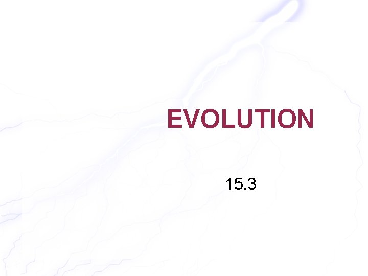 EVOLUTION 15. 3 