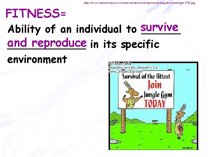 http: //www. cartoonstock. com/newscartoons/cartoonists/cga/lowres/cgan 170 l. jpg FITNESS= Ability of an individual to survive