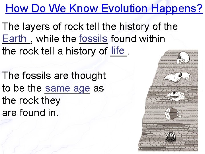 How Do We Know Evolution Happens? The layers of rock tell the history of