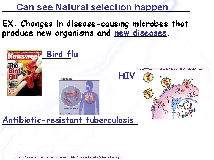 ______________ Can see Natural selection happen EX: Changes in disease-causing microbes that produce new