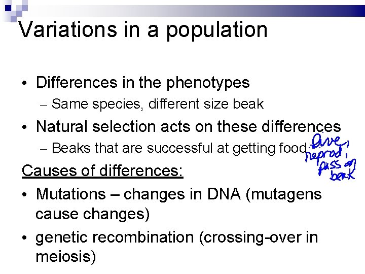 Variations in a population • Differences in the phenotypes – Same species, different size