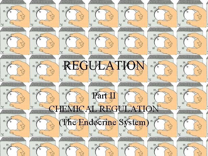 REGULATION Part II CHEMICAL REGULATION (The Endocrine System) 