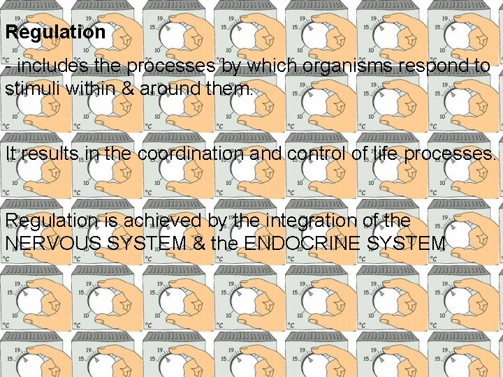 Regulation - includes the processes by which organisms respond to stimuli within & around