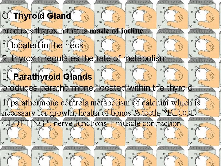 C. Thyroid Gland produces thyroxin that is made of iodine 1. located in the