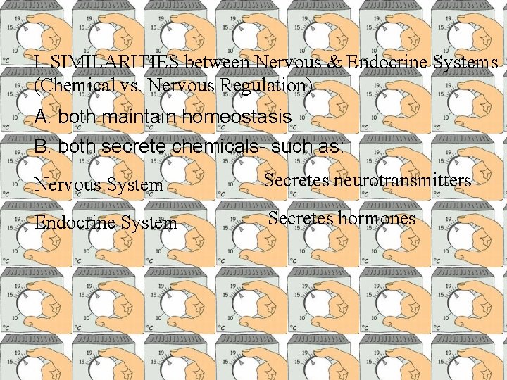 I. SIMILARITIES between Nervous & Endocrine Systems (Chemical vs. Nervous Regulation) A. both maintain