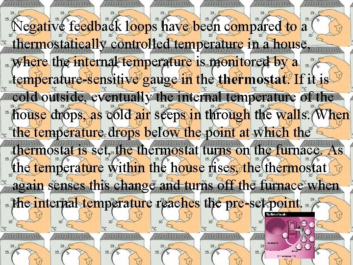 Negative feedback loops have been compared to a thermostatically controlled temperature in a house,