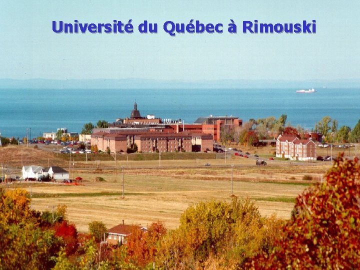 Université du Québec à Rimouski 