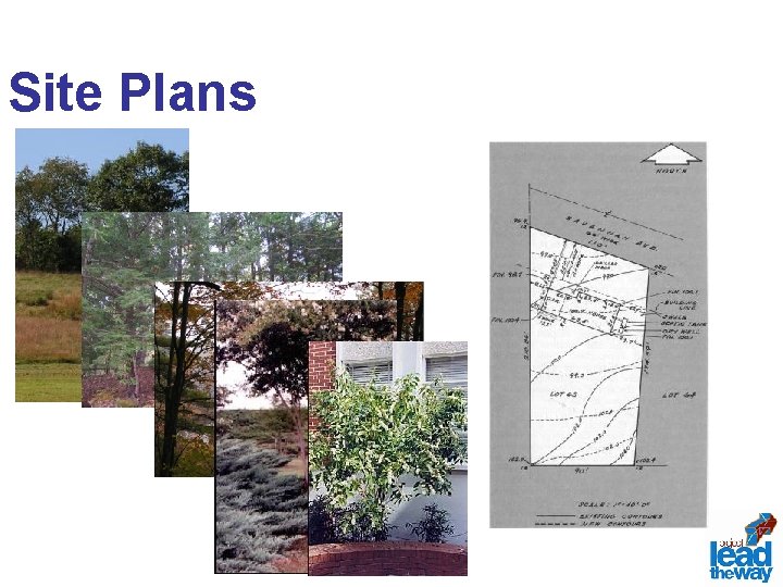 Site Plans 
