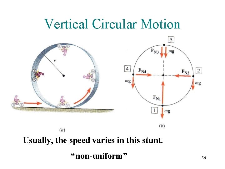 Vertical Circular Motion Usually, the speed varies in this stunt. “non-uniform” 56 Vertical Circular Motion Usually, the speed varies in this stunt. “non-uniform” 56