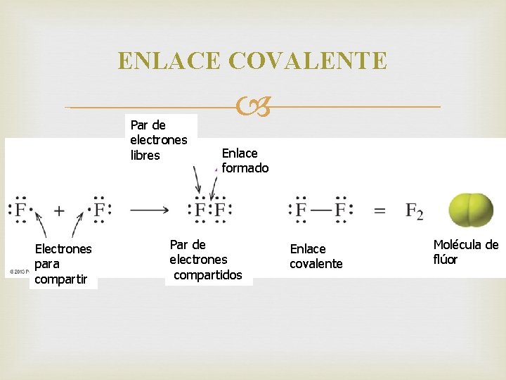 ENLACE COVALENTE Par de electrones libres Electrones para compartir Enlace formado Par de electrones