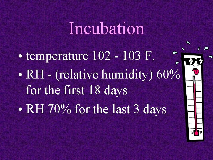 Incubation • temperature 102 - 103 F. • RH - (relative humidity) 60% for