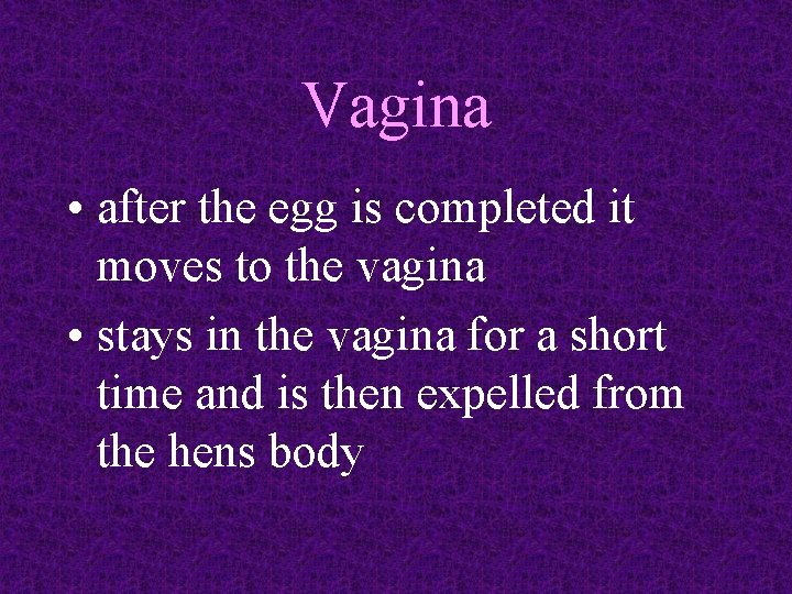 Vagina • after the egg is completed it moves to the vagina • stays