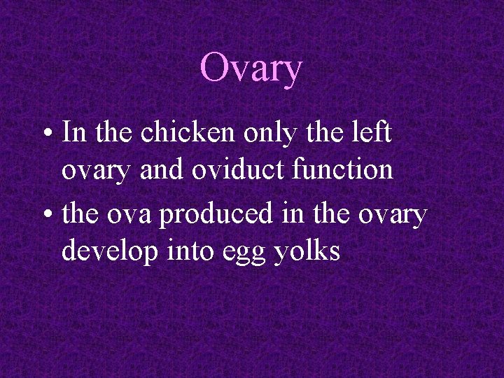 Ovary • In the chicken only the left ovary and oviduct function • the