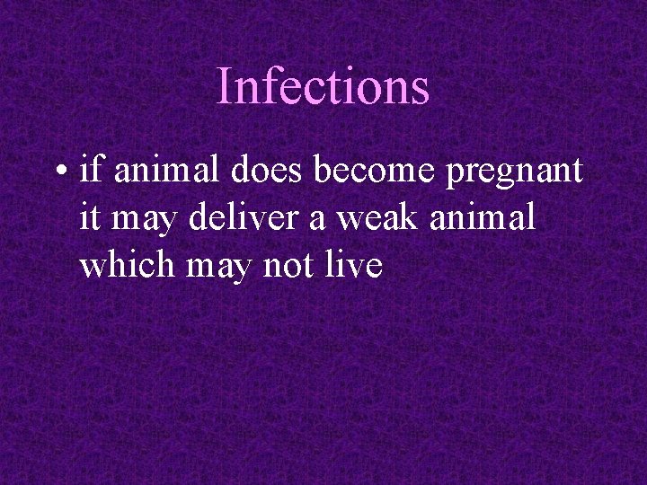 Infections • if animal does become pregnant it may deliver a weak animal which