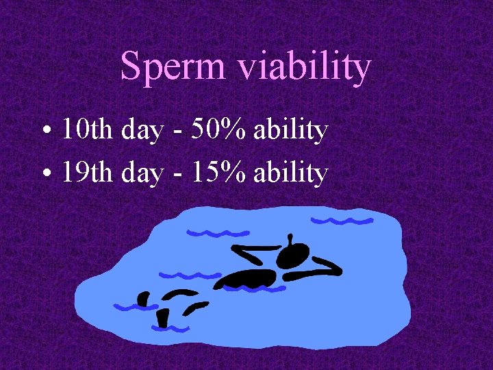 Sperm viability • 10 th day - 50% ability • 19 th day -