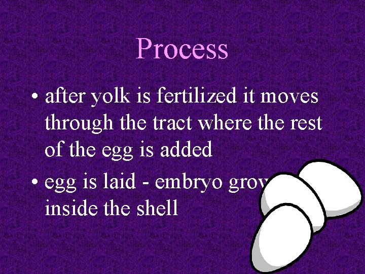 Process • after yolk is fertilized it moves through the tract where the rest