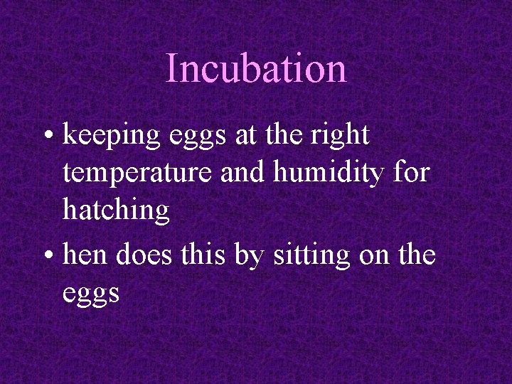 Incubation • keeping eggs at the right temperature and humidity for hatching • hen