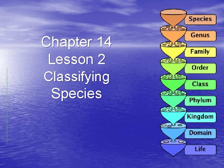 Chapter 14 Lesson 2 Classifying Species 