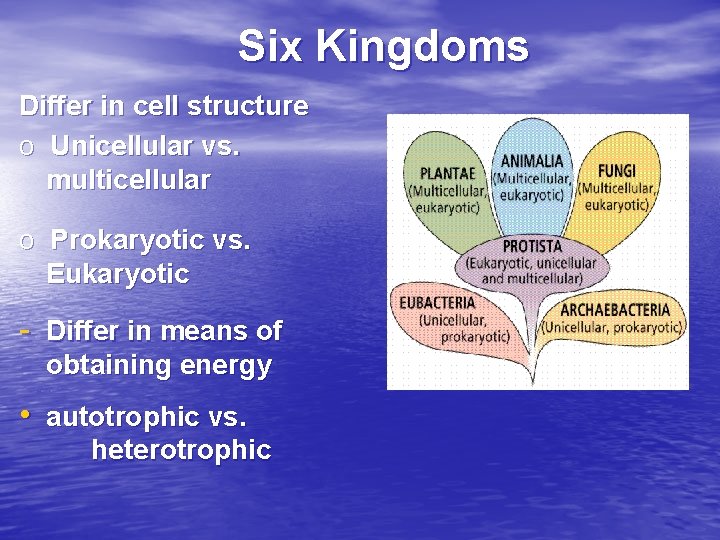 Six Kingdoms Differ in cell structure o Unicellular vs. multicellular o Prokaryotic vs. Eukaryotic