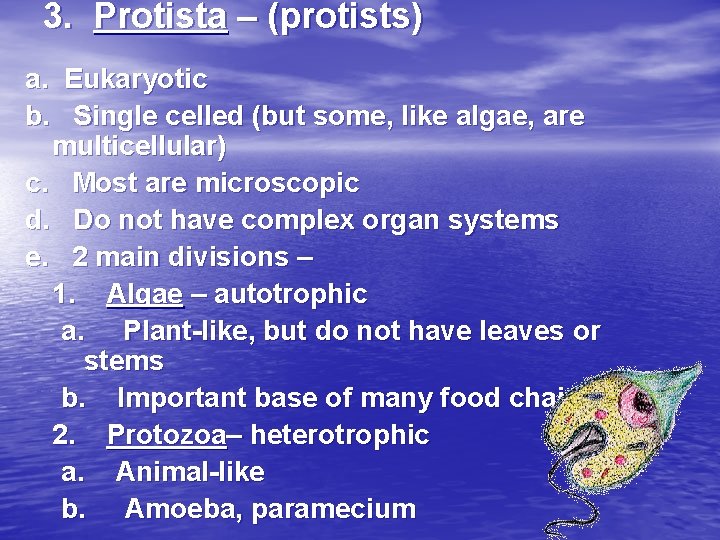 3. Protista – (protists) a. Eukaryotic b. Single celled (but some, like algae, are